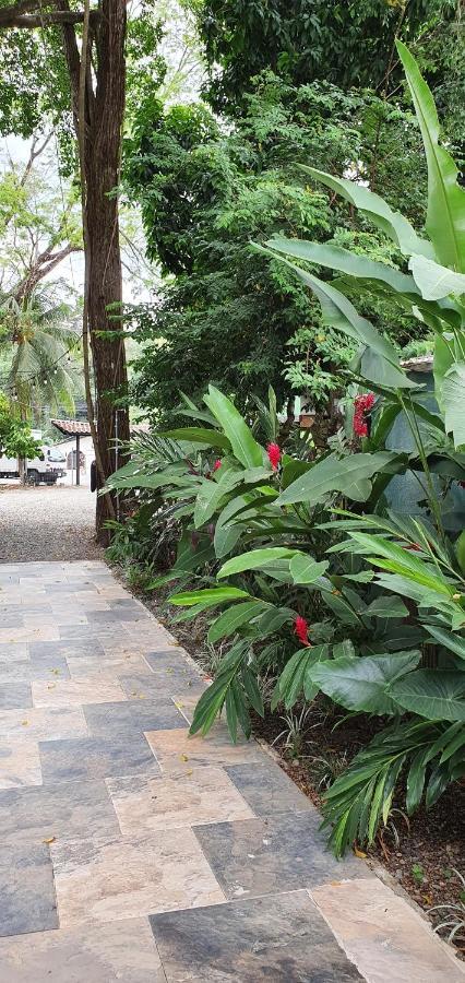 Tucan Hotel أوفيتا المظهر الخارجي الصورة