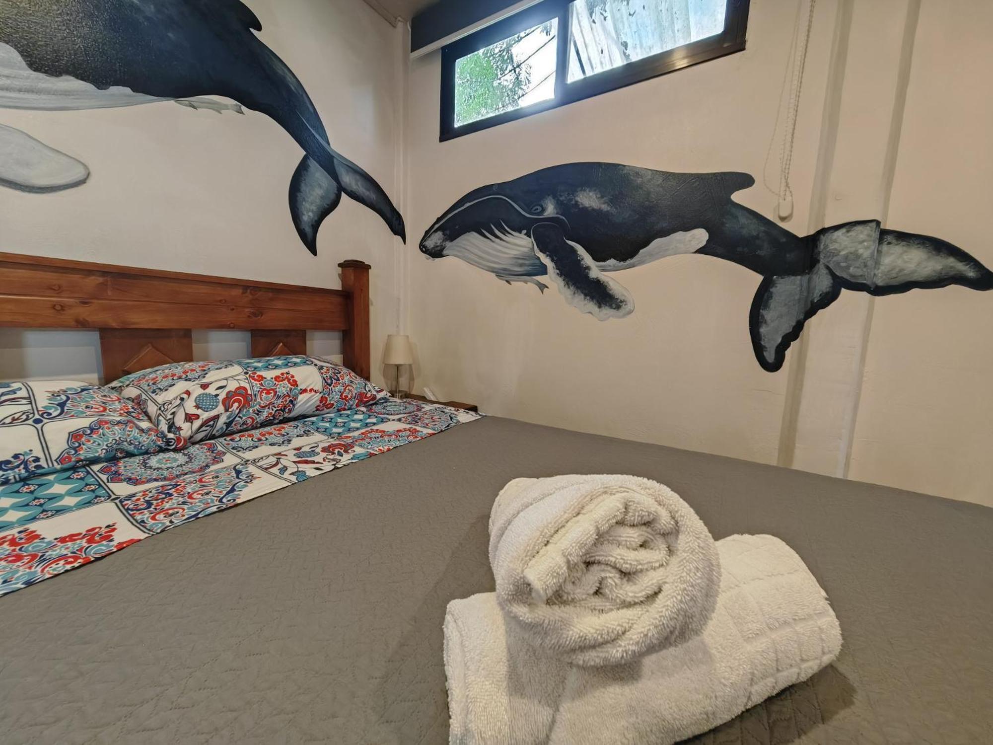 Tucan Hotel أوفيتا الغرفة الصورة