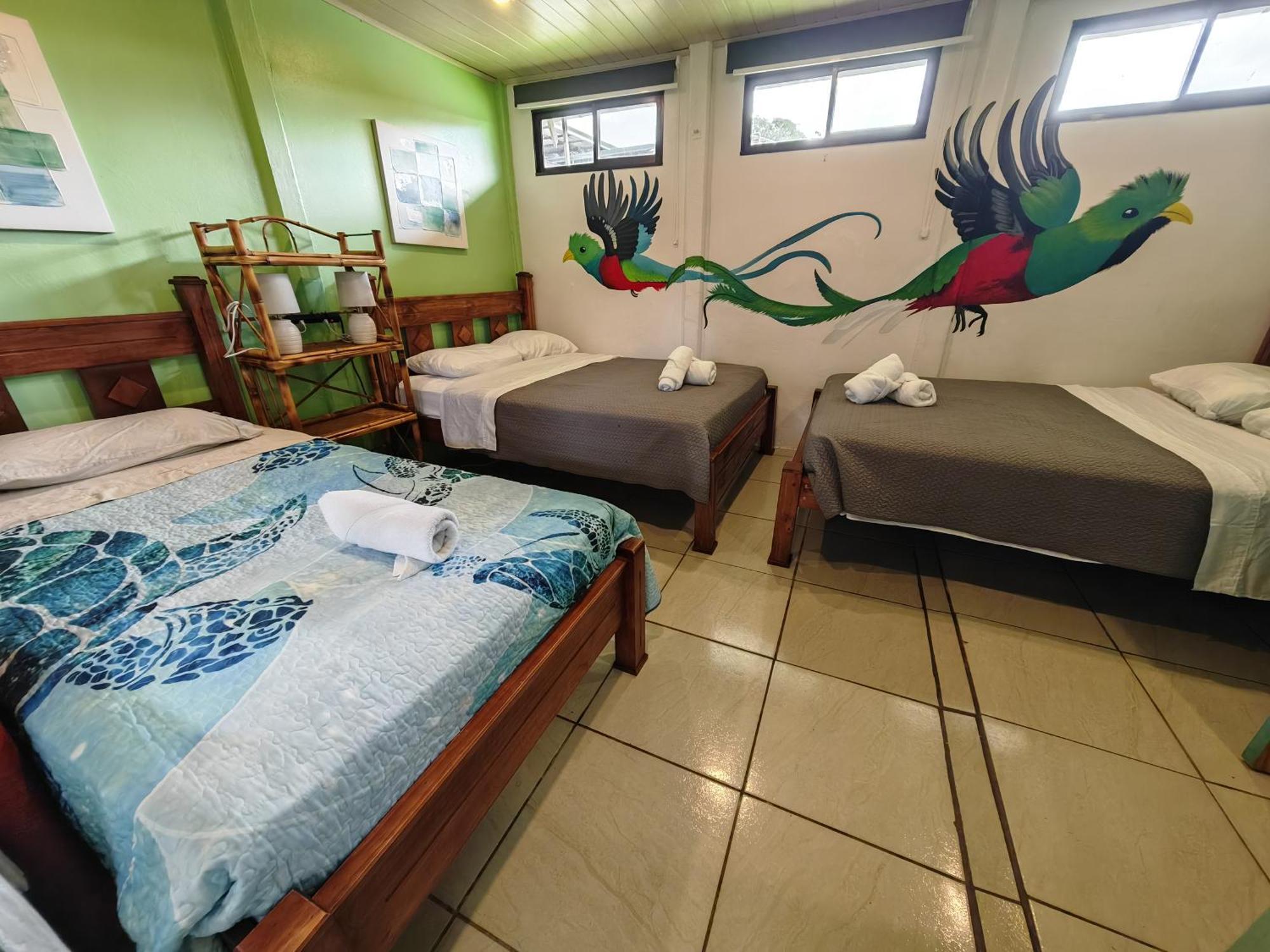 Tucan Hotel أوفيتا الغرفة الصورة