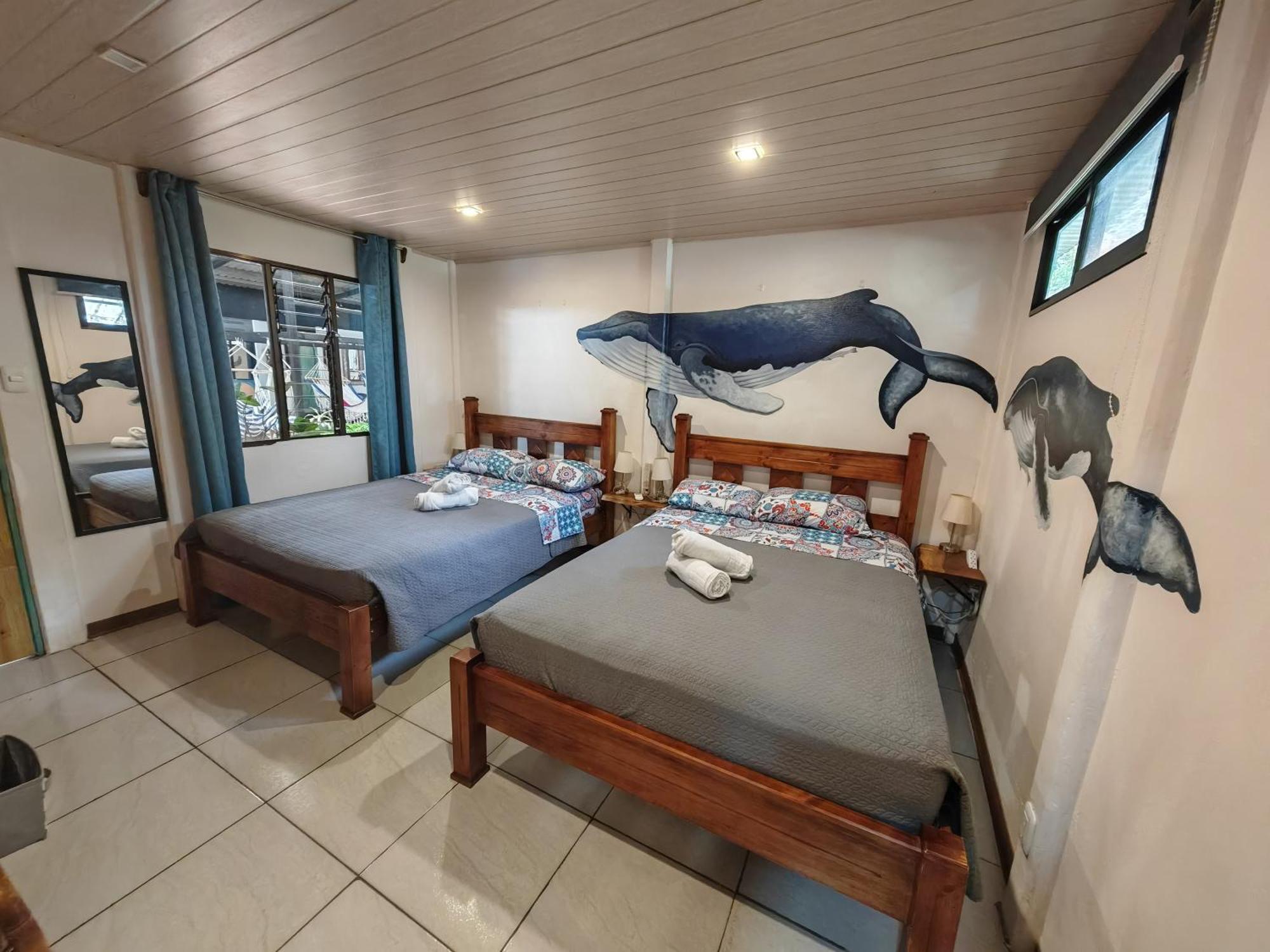 Tucan Hotel أوفيتا الغرفة الصورة