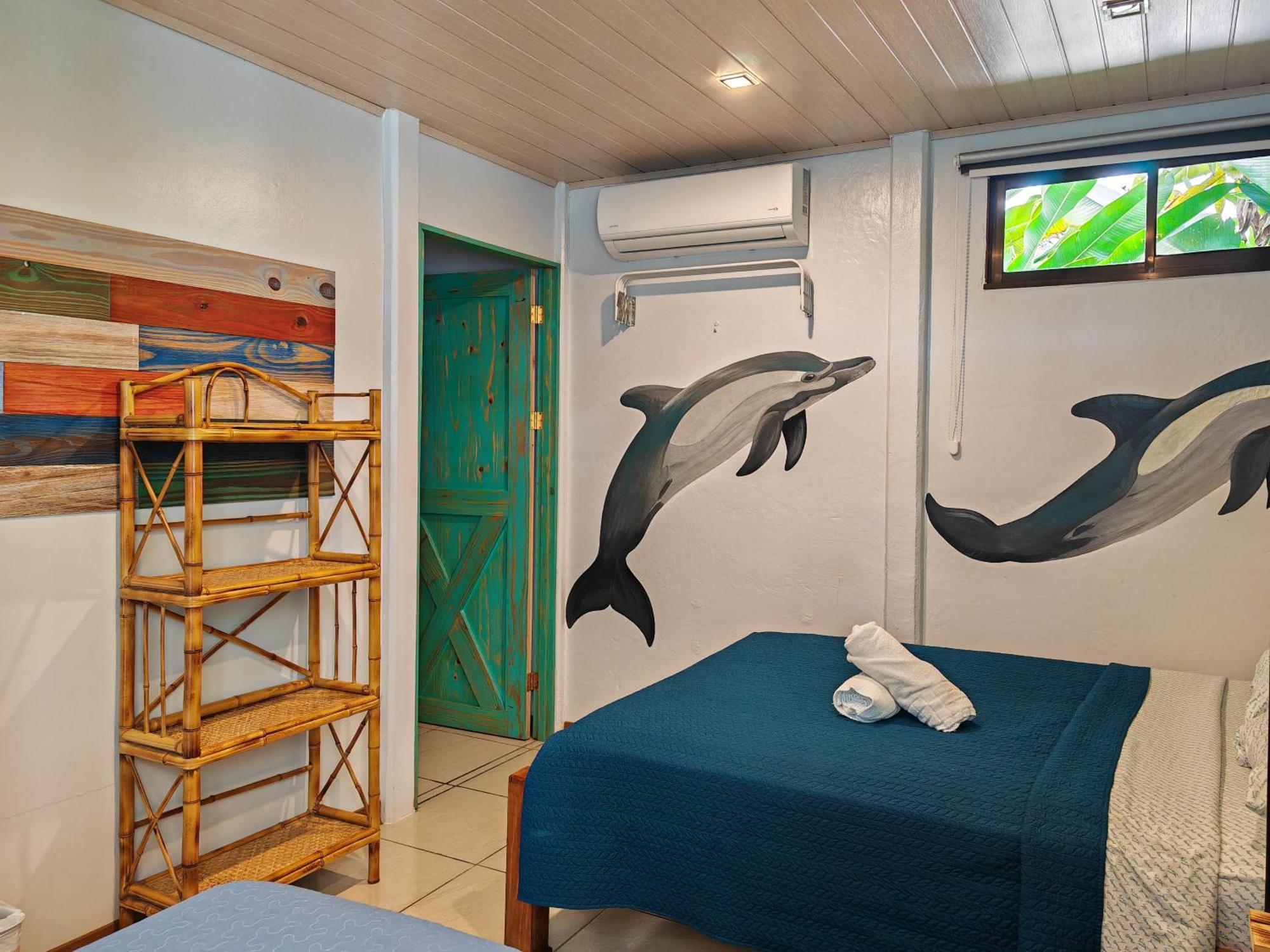 Tucan Hotel أوفيتا الغرفة الصورة