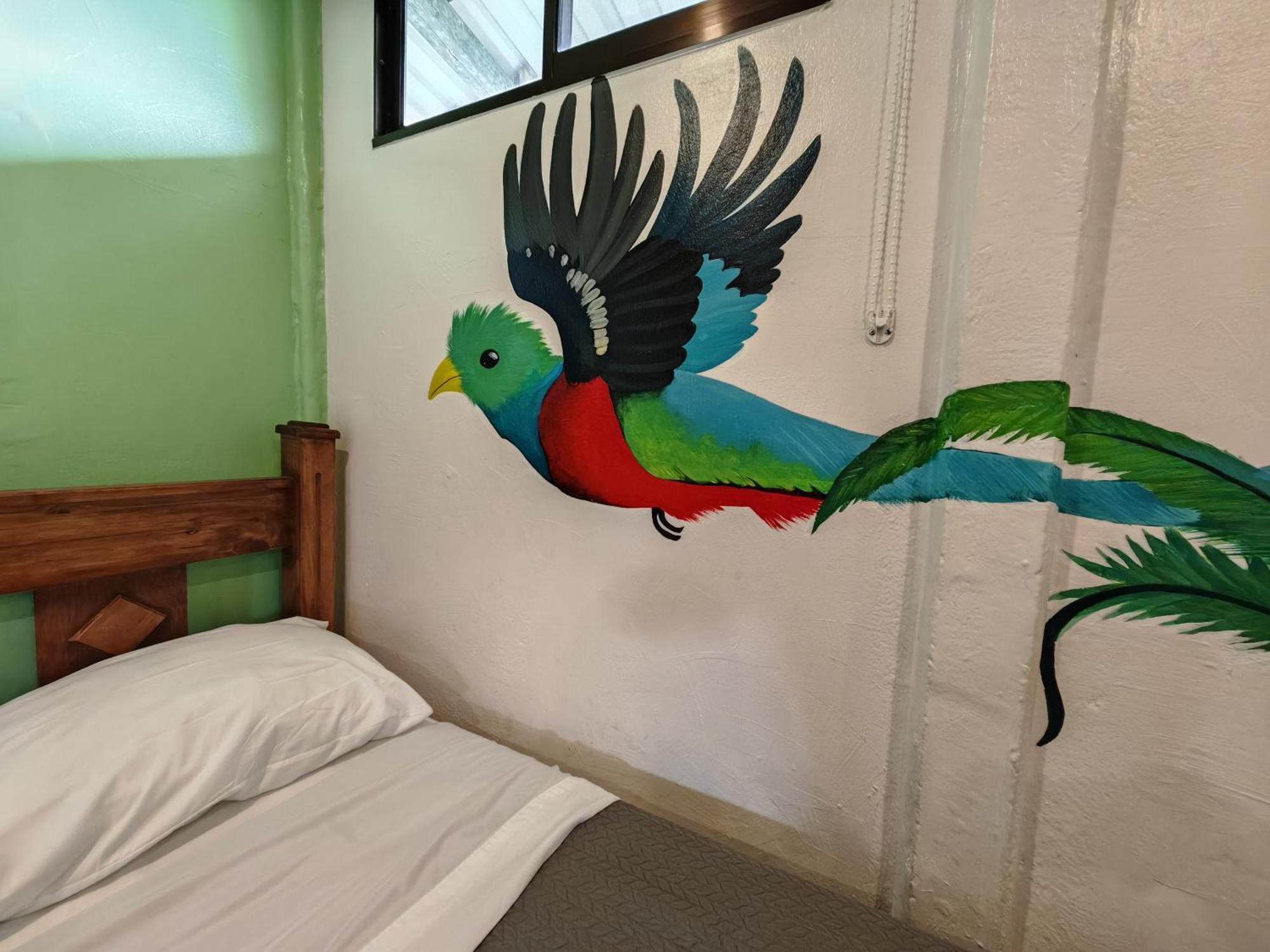 Tucan Hotel أوفيتا الغرفة الصورة