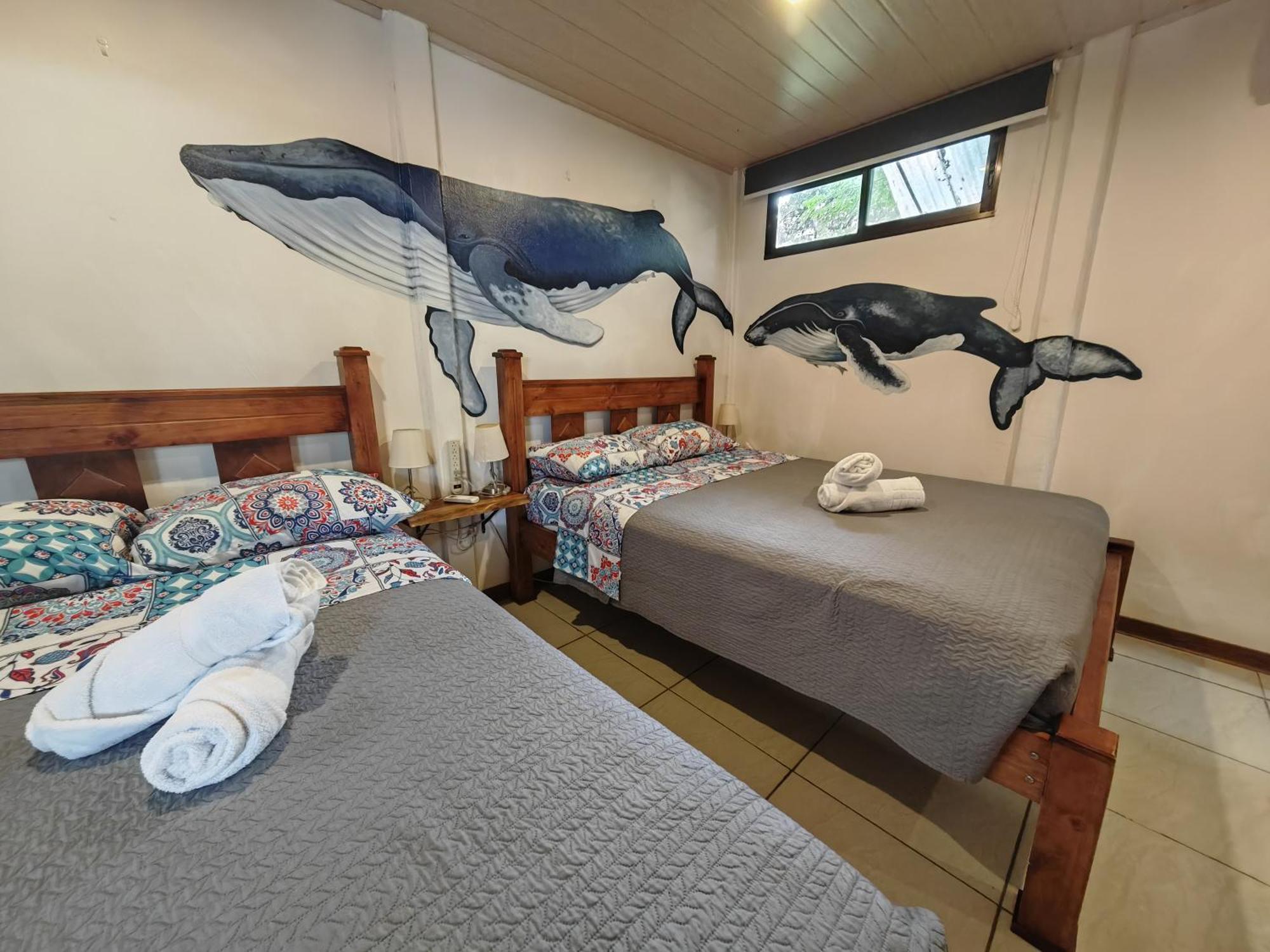 Tucan Hotel أوفيتا الغرفة الصورة